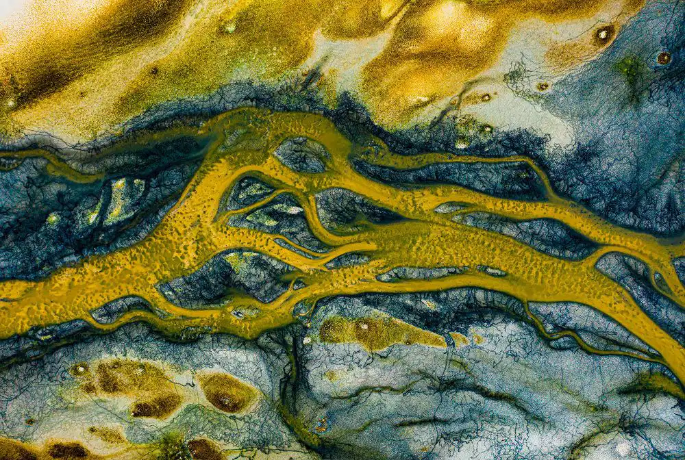 International Film Production